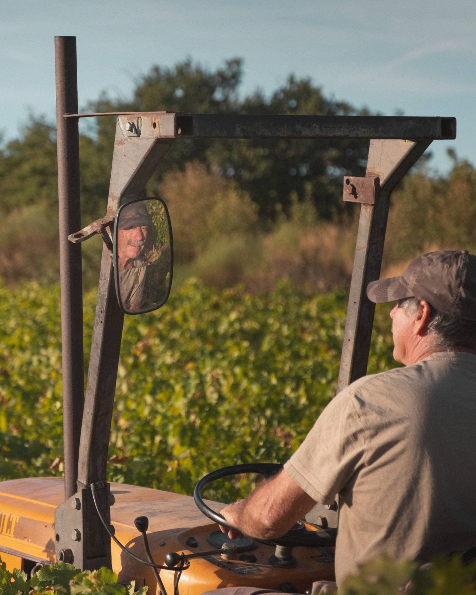 VENDANGES 2026 — LOU BELVESTI